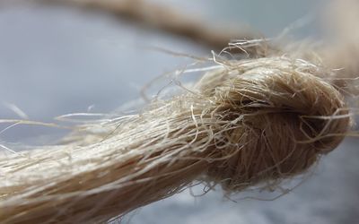 Close-up of dry rope