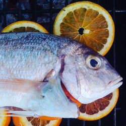 Close-up of fish for sale in market