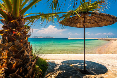 Palm trees on beach against sky