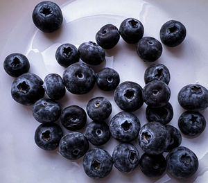 Full frame shot of blue berries 