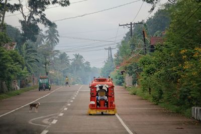 Vehicles on road amidst trees in city