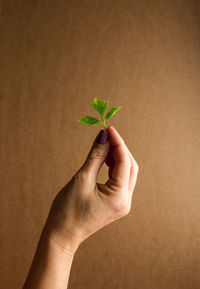 A woman's hand with a little fresh parsley.