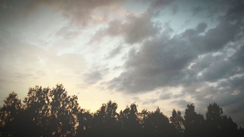 Silhouette of trees against cloudy sky