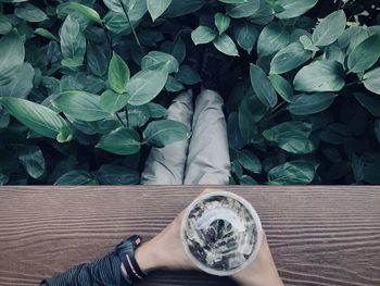 Low section of person holding glass outdoors