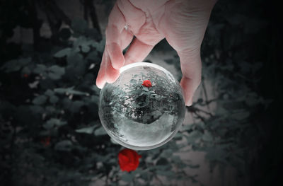 Close-up of hand holding ball glass