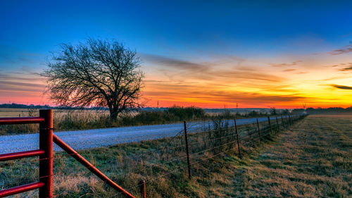 Bare trees on field against sky during sunset