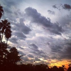 Silhouette of trees against cloudy sky