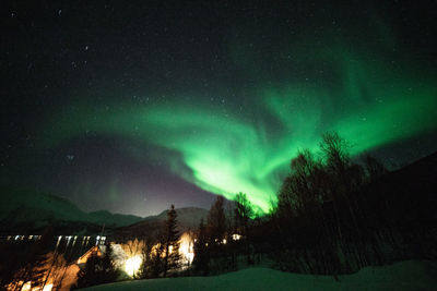 Scenic view of illuminated field against sky at night during winter