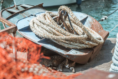 High angle view of ropes on boat