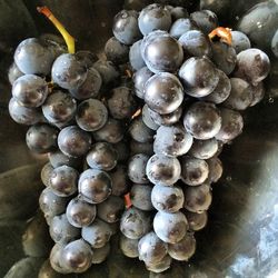 Close-up of grapes