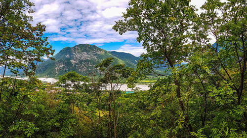 Scenic view of trees and mountains against sky