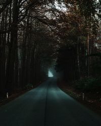 Road amidst trees in forest