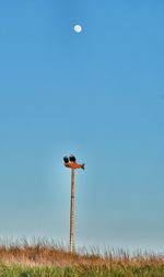 Low angle view of landscape against clear blue sky