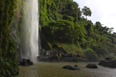 Scenic view of waterfall in forest against sky