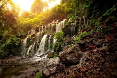 Beautiful view of waterfall in forest