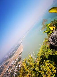 High angle view of plants by sea against sky