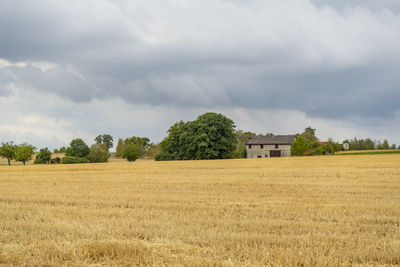 Scenic view of field against sky