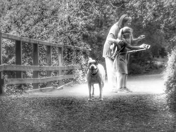 Dog standing on field