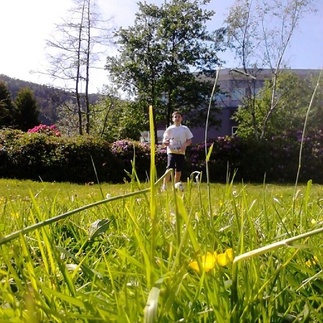 grass, growth, plant, field, rear view, tree, green color, lifestyles, flower, leisure activity, building exterior, men, nature, agriculture, built structure, person, sky, full length