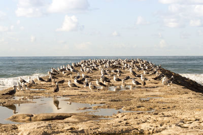 Scenic view of rocks on beach against sky