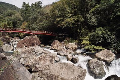 Bridge over river against trees