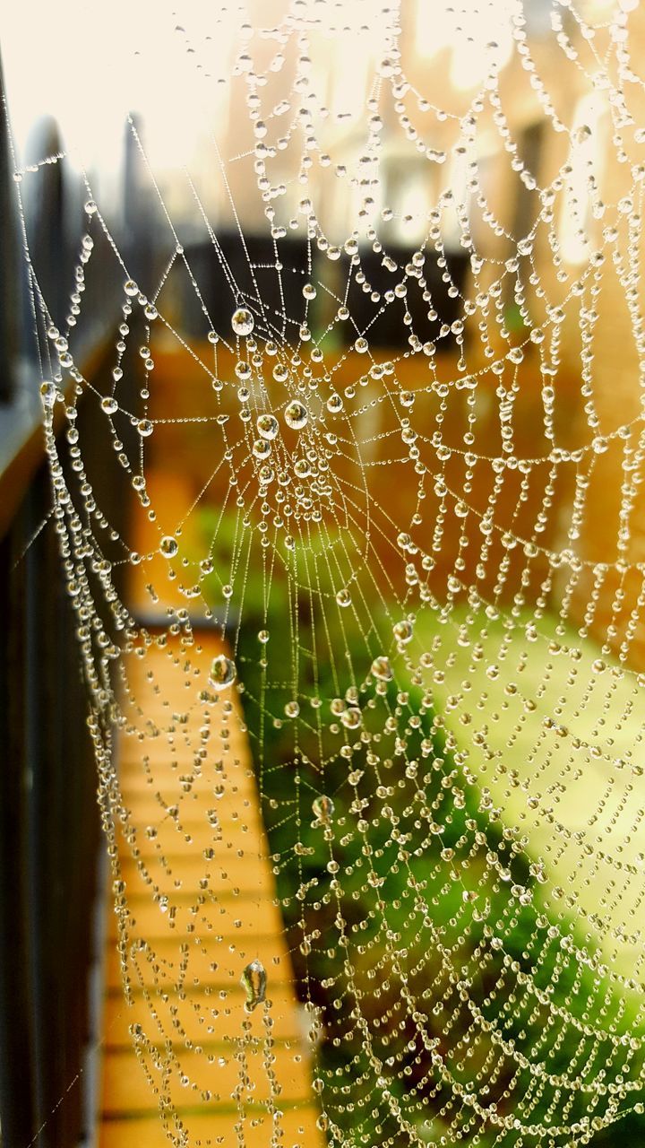 CLOSE-UP OF WET SPIDER WEB AGAINST SKY