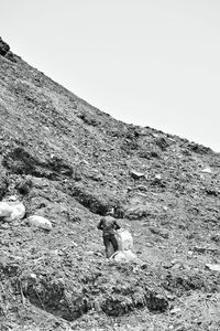 Man sitting on rock against sky