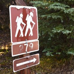 Close-up of road sign