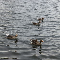 View of water in water