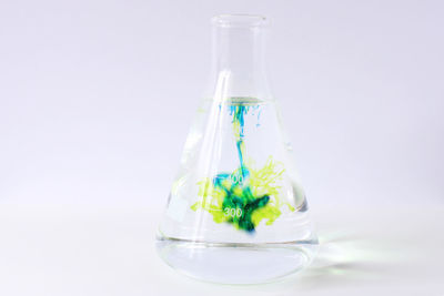 Close-up of flowers in glass against white background