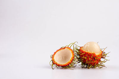Close-up of orange fruit against white background