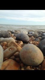 Scenic view of beach