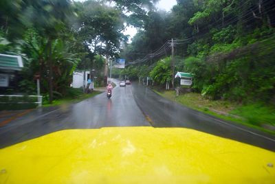 Car on yellow road amidst trees