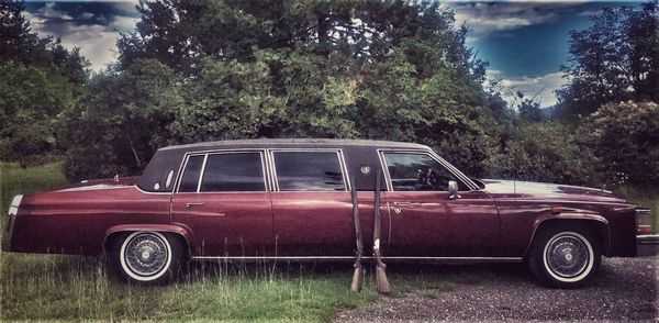 Vintage car on field against trees