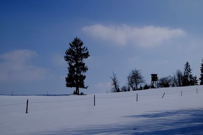 Scenic view of snow covered landscape