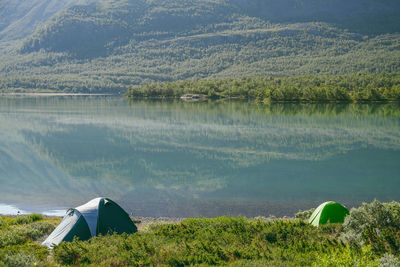 Scenic view of lake and trees in forest