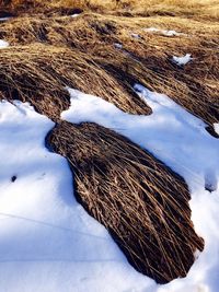 High angle view of snow covered landscape