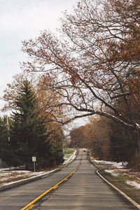 Road amidst trees against sky