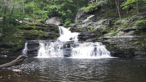 Close-up of waterfall against trees