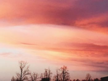 Low angle view of silhouette trees against sky at sunset