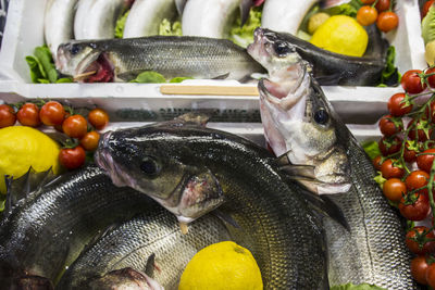 Fish for sale in market