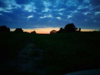 Silhouette trees on field against sky during sunset