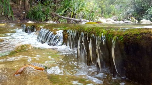 Stream flowing in river