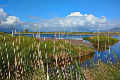 Scenic view of sea against blue sky