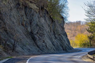 Scenic view of road amidst trees