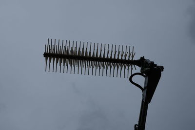 Low angle view of bird perching against clear sky