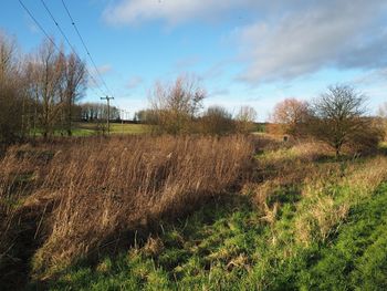 Scenic view of grassy field against cloudy sky