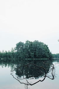 Reflection of trees in lake against clear sky