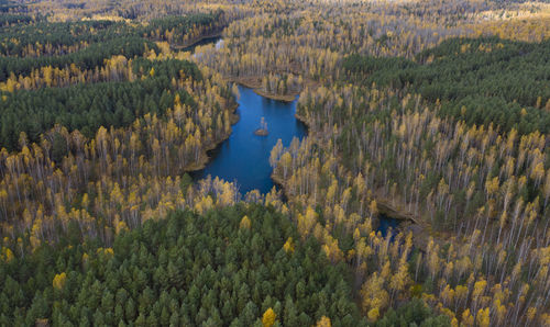 High angle view of trees by lake