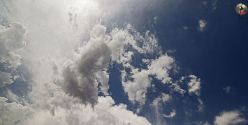 Trees against cloudy sky